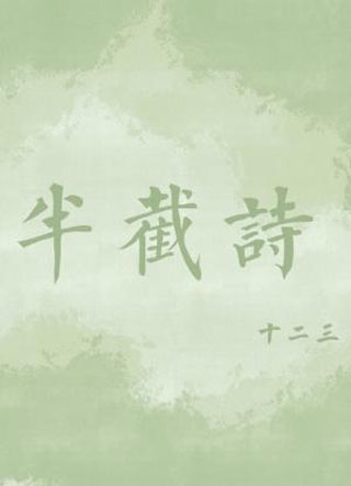 半截诗小说