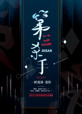 第三杀手小说