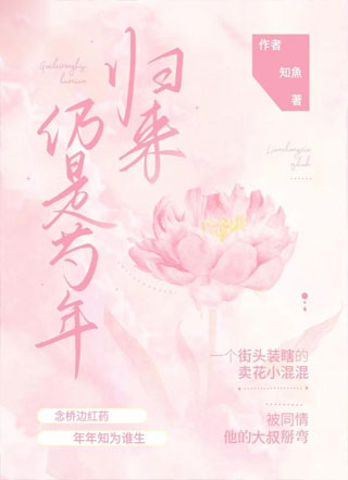 归来，仍是芍年小说
