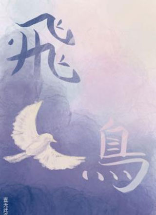 飞鸟不飞小说