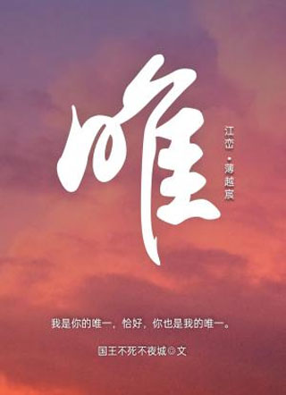 唯小说