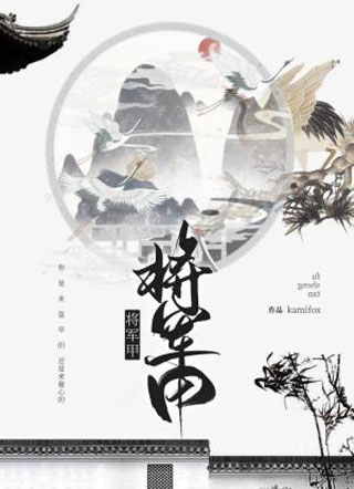 将军甲小说
