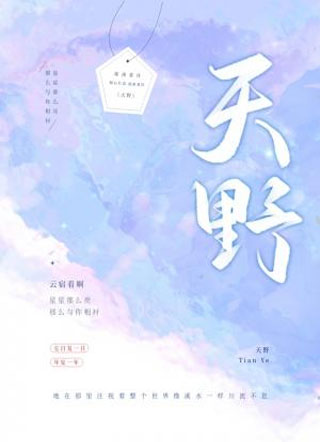 天野小说