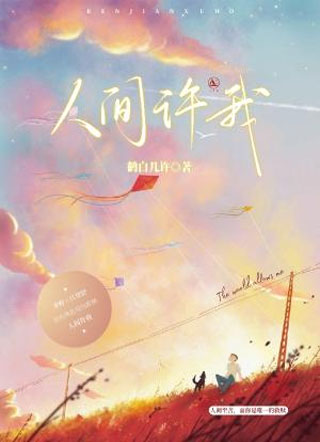 人间许我小说