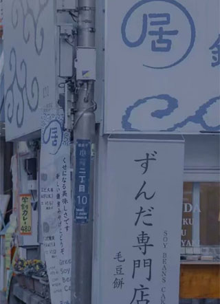 亲爱的小狐狸小说
