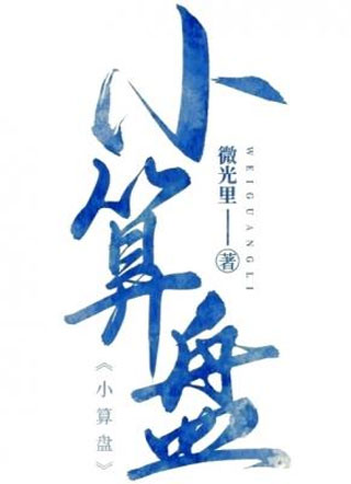 小算盘小说
