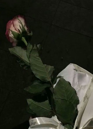 这个快穿有点香小说