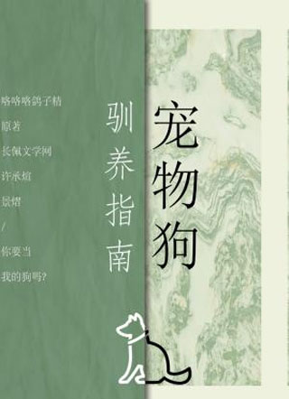 宠物狗驯养指南小说