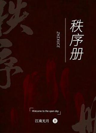 秩序册小说