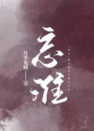 忘淮小说