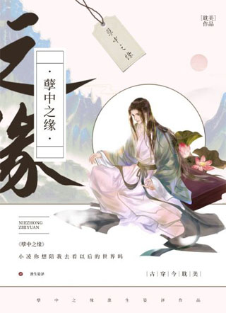 孽中之缘小说
