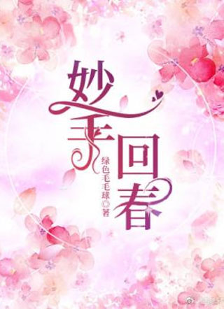 妙手回春小说