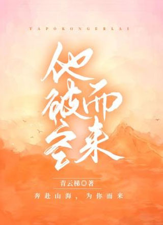 他破空而来小说