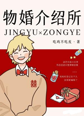 物婚介绍所小说