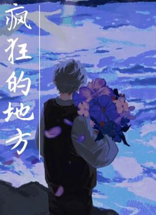 疯狂的地方小说