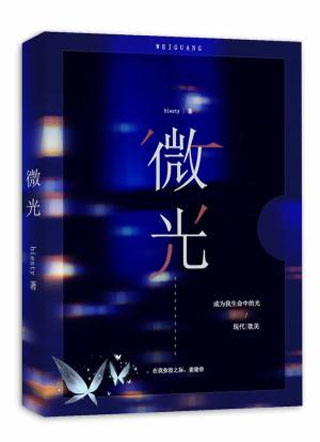 微光biesty小说