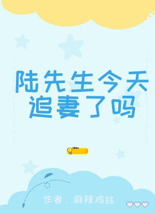 陆先生今天追妻了吗小说