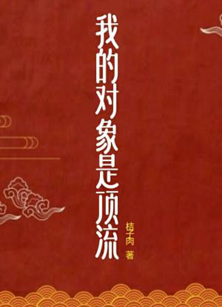 我的对象是顶流小说