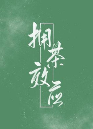拥茶效应小说