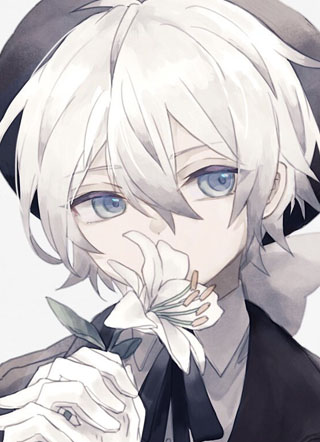 少爷的攻略小说