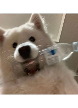 觉醒后，迷恋我的竹马要退婚！小说