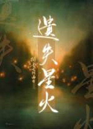 遗失星火小说