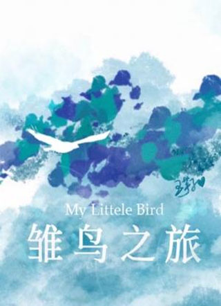 雏鸟之旅小说