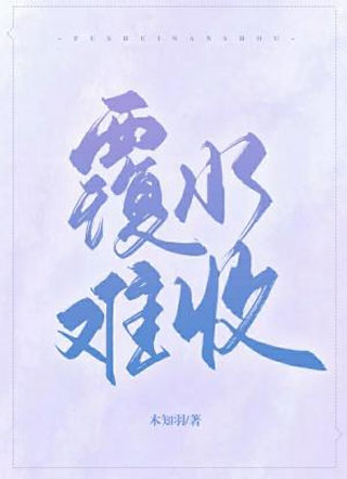 覆水难收小说