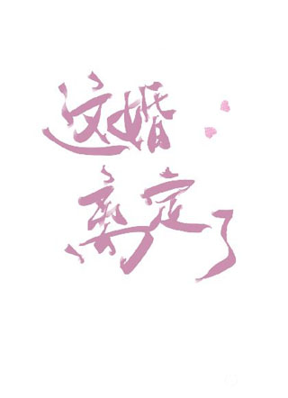 总裁，这婚离定了小说