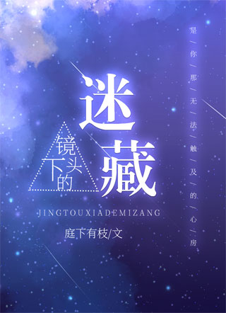 镜头下的迷藏小说