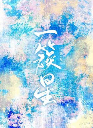 一簇星小说