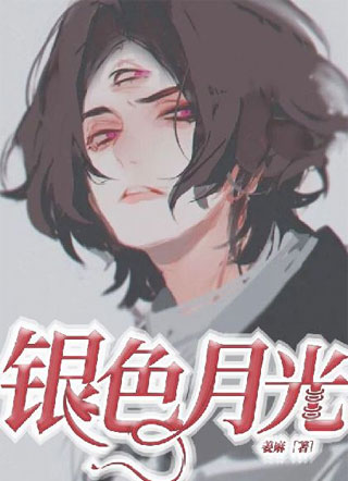 银色月光小说