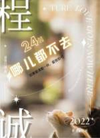 程诚哪儿都不去小说