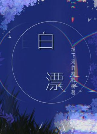 白漂小说