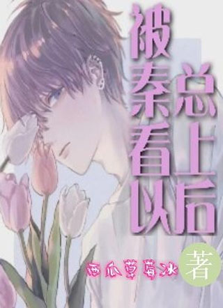 被秦总看上以后小说