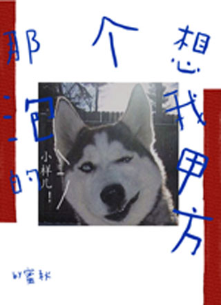 那个想泡我的甲方小说