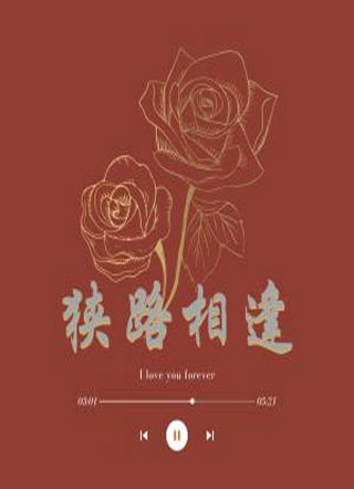 狭路相逢小说