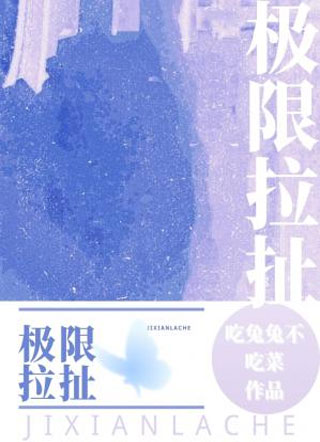 极限拉扯小说