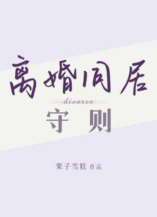 离婚同居守则小说