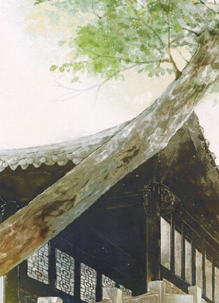 夫君倾心小说