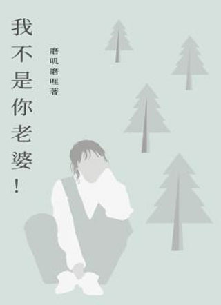  我不是你老婆！小说