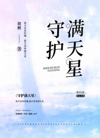 守护满天星小说