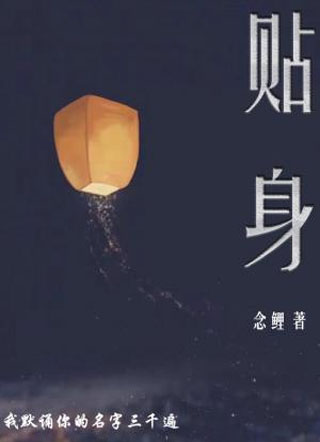 贴身小说