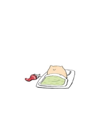 穿书后变成怀中小甜猫小说