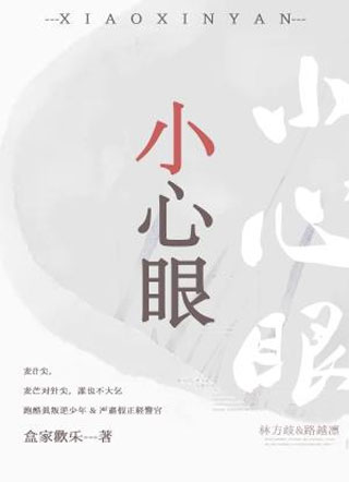 小心眼小说