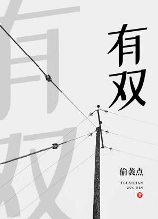 有双小说
