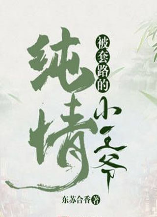 被套路的纯情小王爷小说