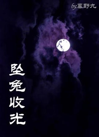 坠兔收光小说