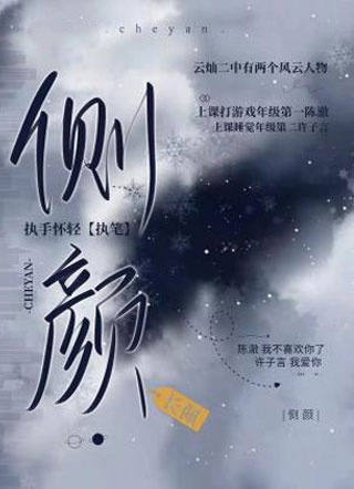 侧颜陈澈小说