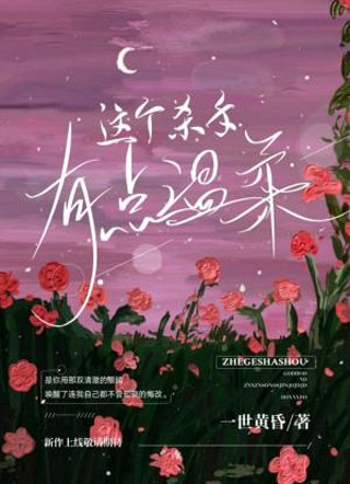这个杀手有点温柔小说